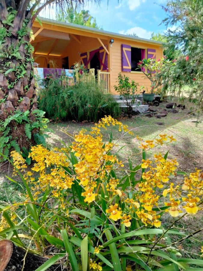 Vacances Bien Etre Guadeloupe Буйант Экстерьер фото