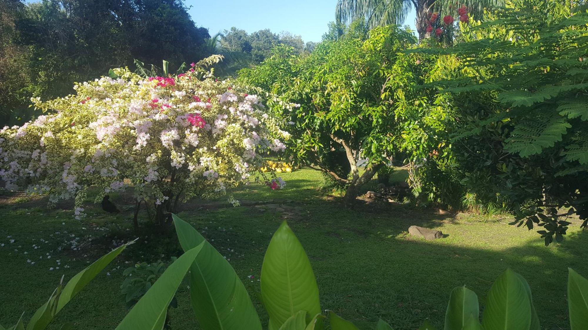 Vacances Bien Etre Guadeloupe Буйант Экстерьер фото
